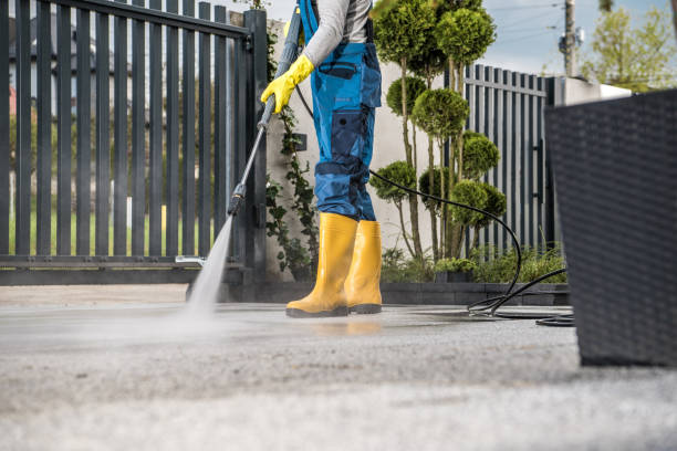 Animal Enclosure Cleaning in Ivanhoe, CA