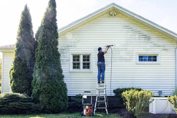 Professional Pressure Washing Services in Ivanhoe, CA